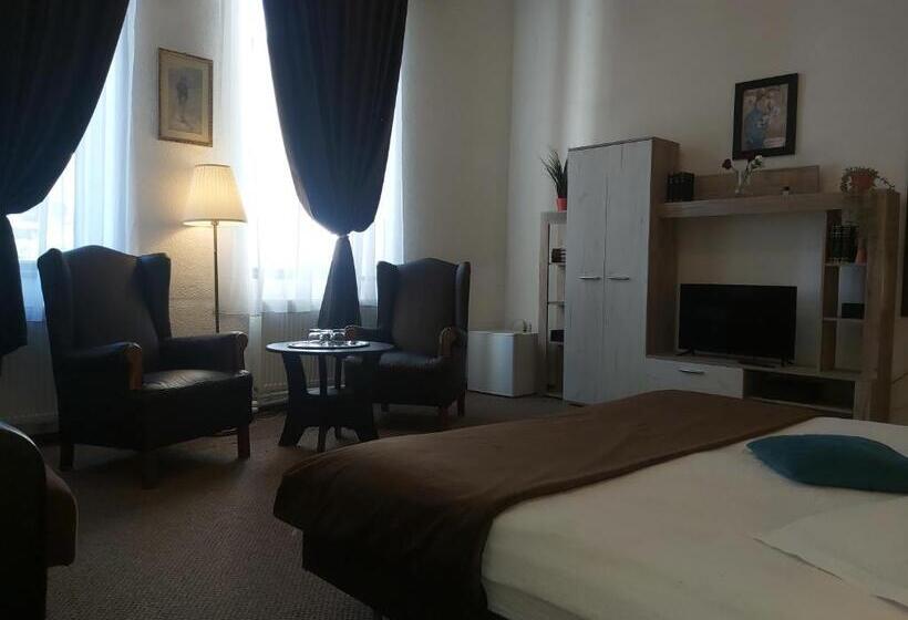 ペンション Vila Micul Castel