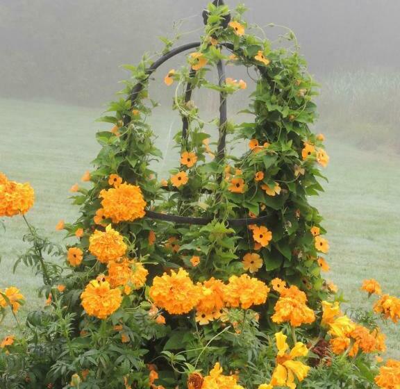 بنسيون Villa Orangère Chambre Et Table D Hôtes