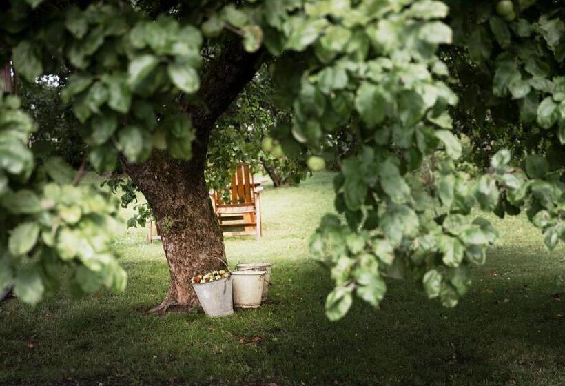 Snickaren Vandrarhem I Grästorp   Egen Lägenhet   Own Apartments