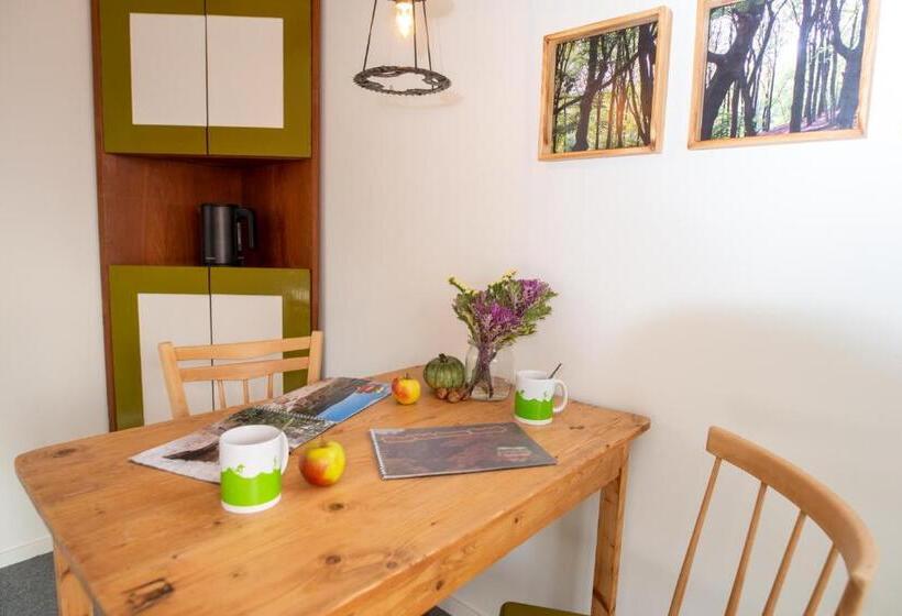 Sport B&b De Veluwezoom