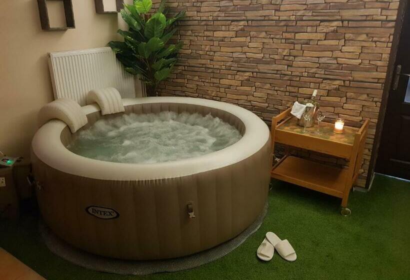 Vila Nejdek   Erzgebirge