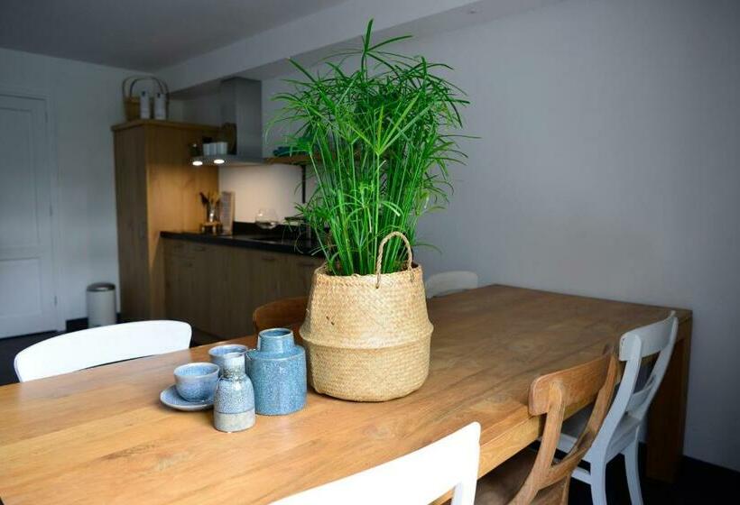 B & B Meet The Dutch