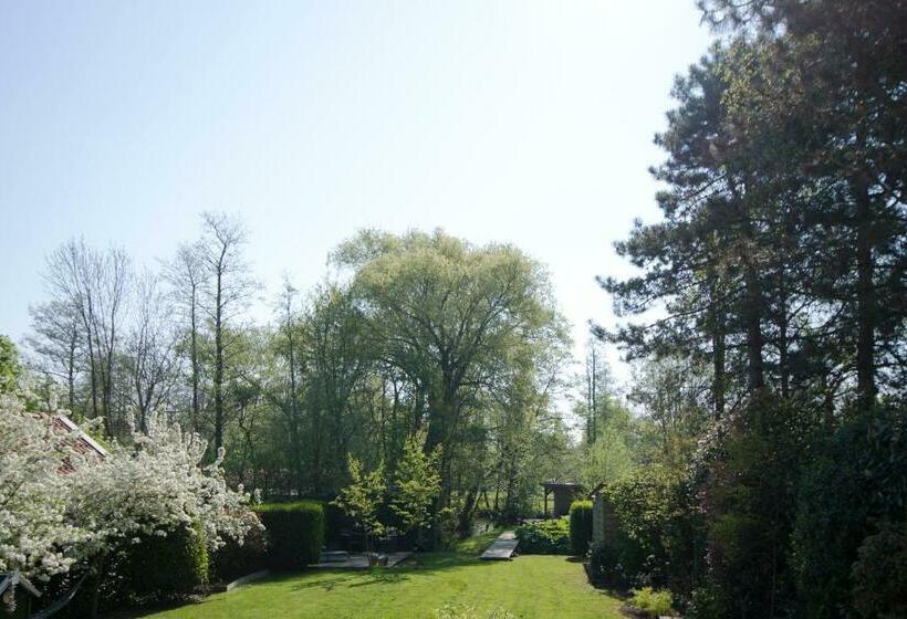 B & B Meet The Dutch