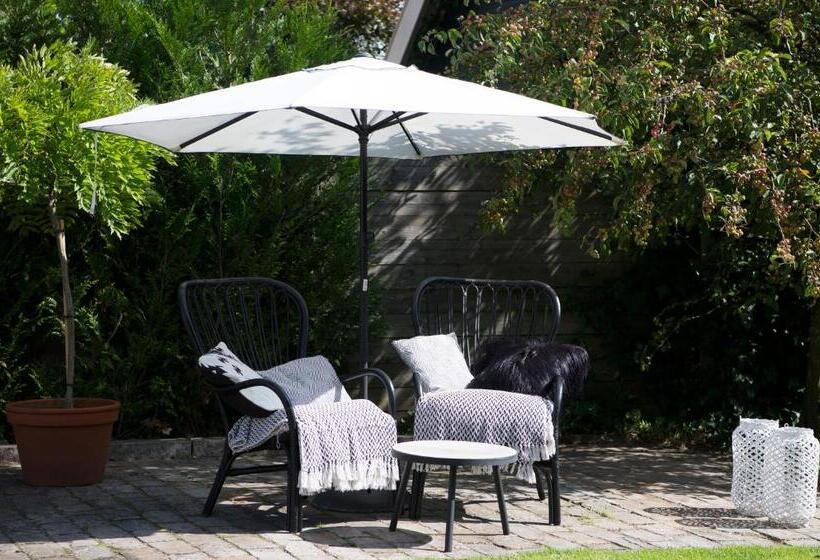 B & B Meet The Dutch