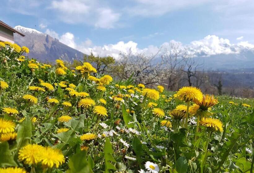 住宿加早餐 Agriturismo La Giasena