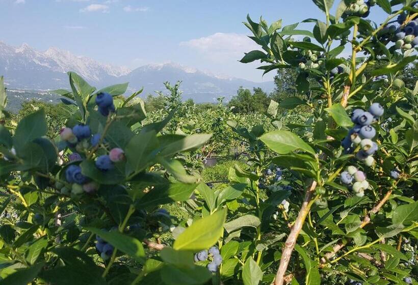 住宿加早餐 Agriturismo La Giasena