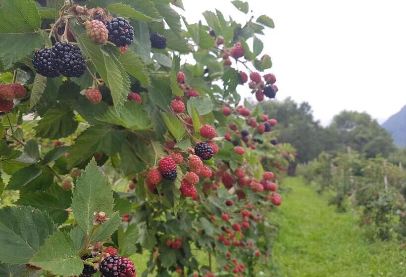 住宿加早餐 Agriturismo La Giasena