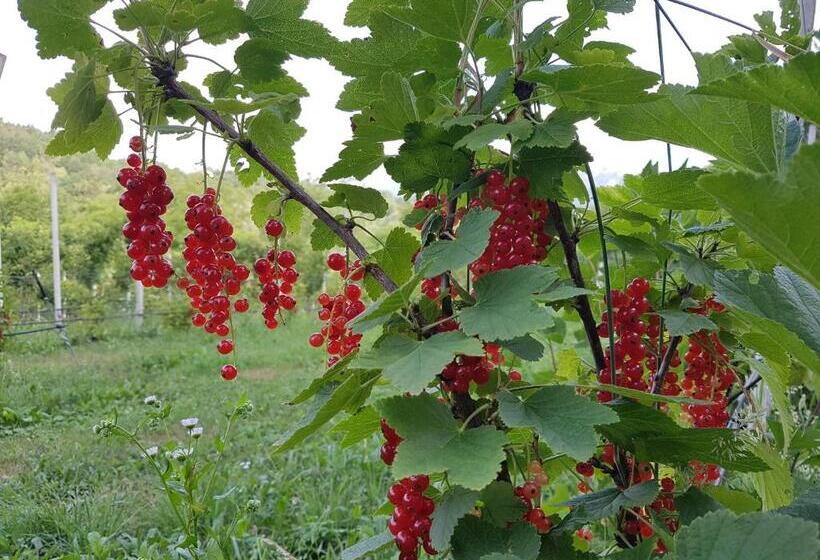 민박 Agriturismo La Giasena