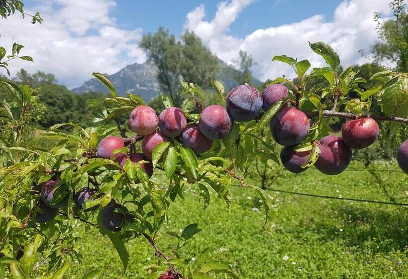 민박 Agriturismo La Giasena
