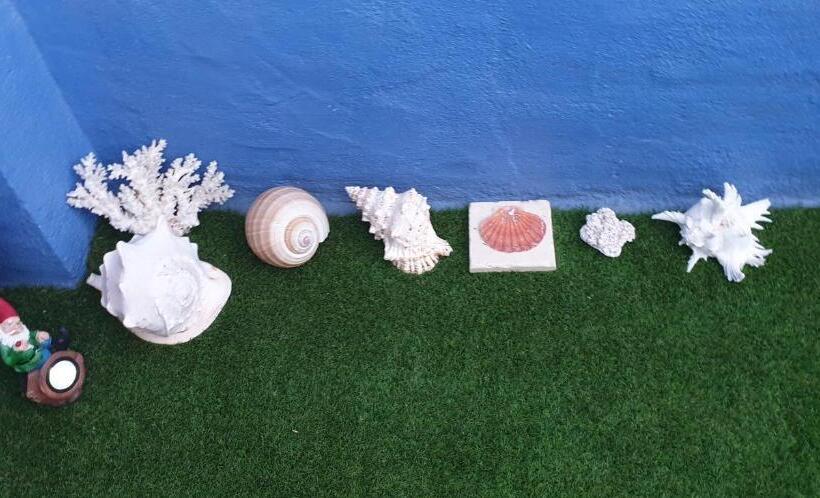 تختخواب و صبحانه Casa Amelia   Bed&breakfast