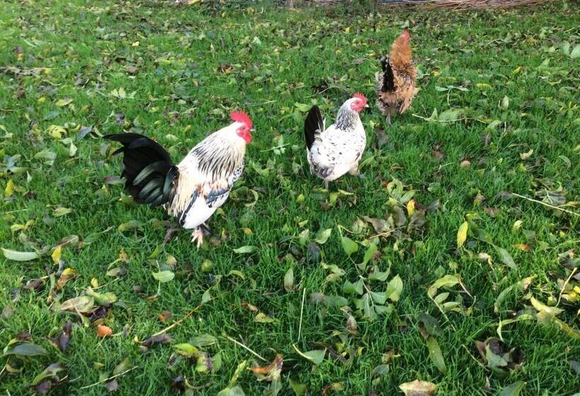 مبيت وإفطار De Aardigeyt