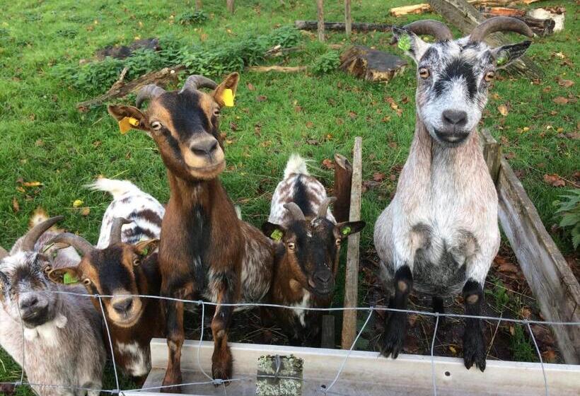 مبيت وإفطار De Aardigeyt