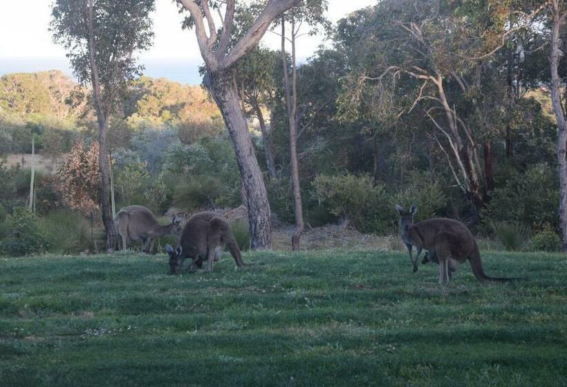 צימר Eagle Bay House