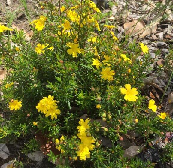 צימר Eagle Bay House