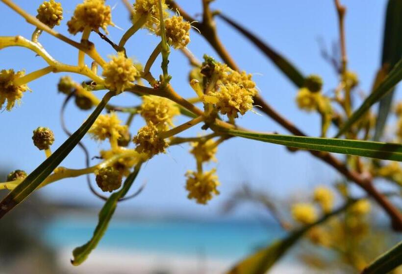 צימר Eagle Bay House