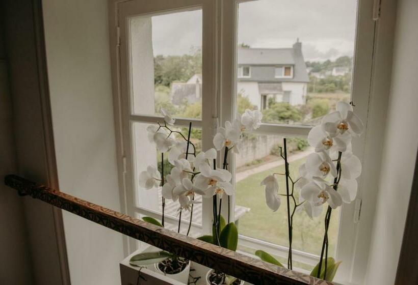 Bed and Breakfast Le Banellou