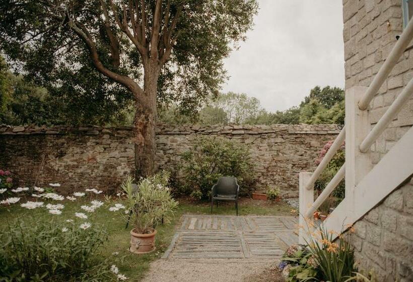 Bed and Breakfast Le Banellou