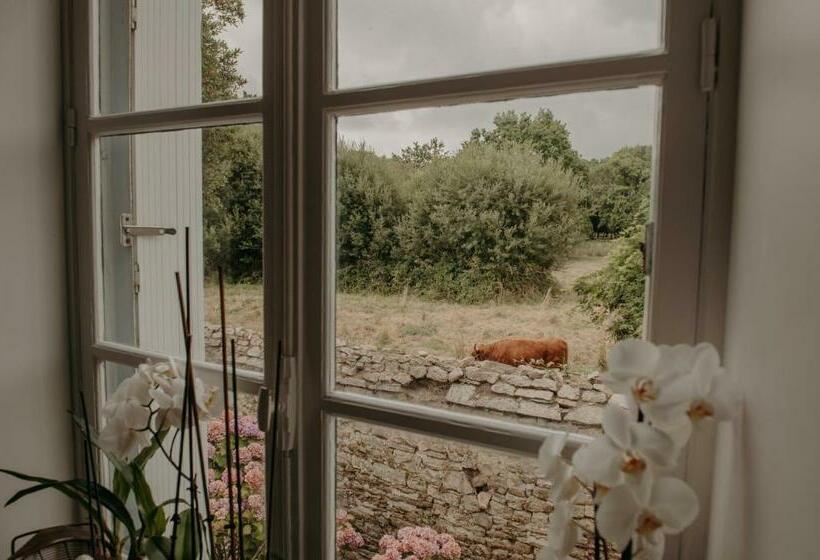 Bed and Breakfast Le Banellou