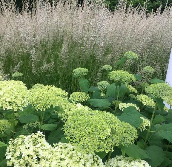 민박 Retour De Provence