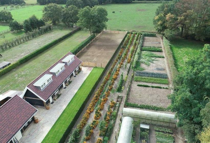 De Cromvoirtse Bed And Breakfast