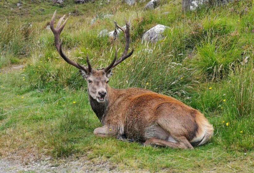 Forest Path Luxury Studio Apartment With Large Bedroom Bathroom And Sauna Sleeps Up To 4