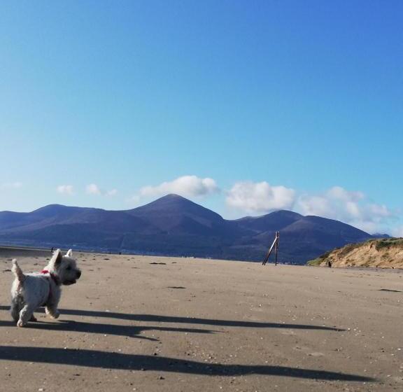 Forest Path Luxury Studio Apartment With Large Bedroom Bathroom And Sauna Sleeps Up To 4