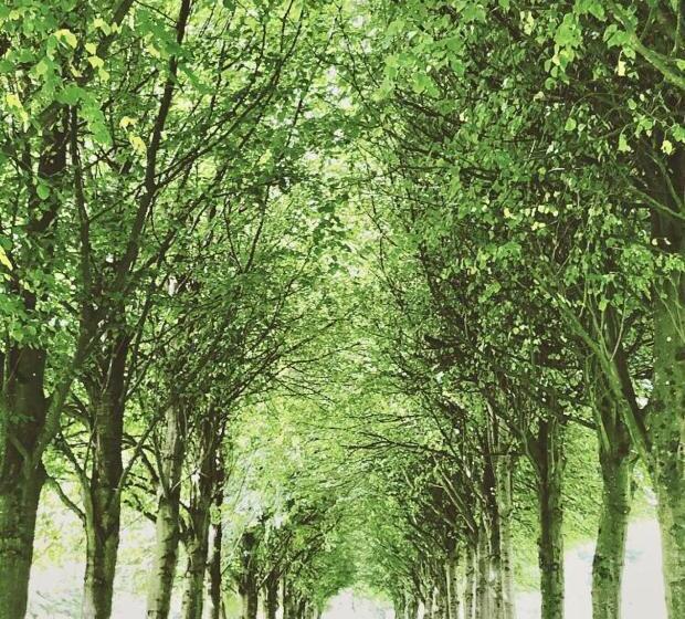 Forest Path Luxury Studio Apartment With Large Bedroom Bathroom And Sauna Sleeps Up To 4