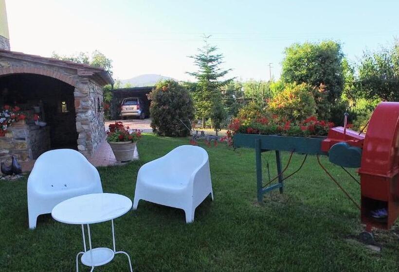 בית מלון כפרי Agriturismo Il Cuscino Nel Pagliaio