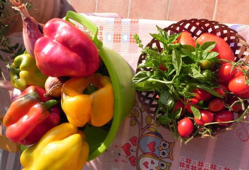 בית מלון כפרי Agriturismo Il Cuscino Nel Pagliaio