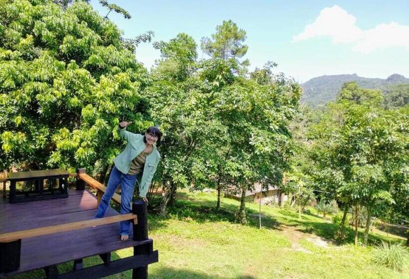 هتل Jungle Guesthouse