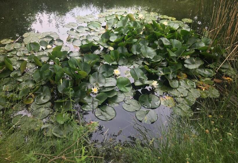 هتل La Cabaña De Gaia