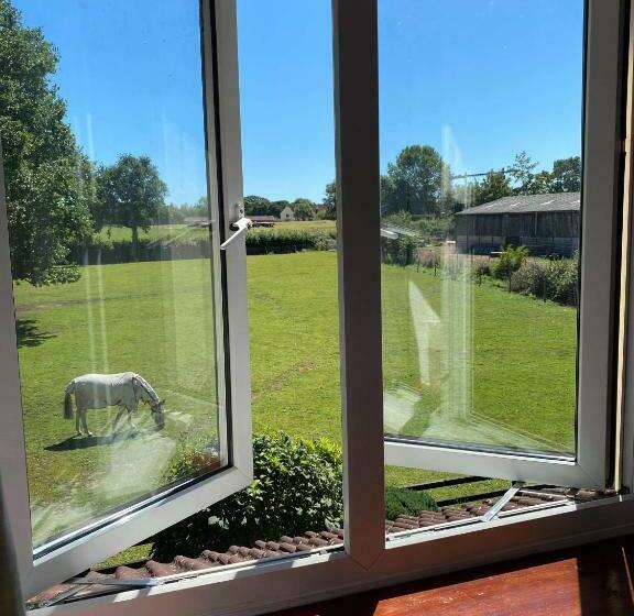 בית מלון כפרי Marsh Farm