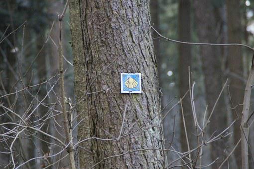 בית מלון כפרי Schweizer Hof