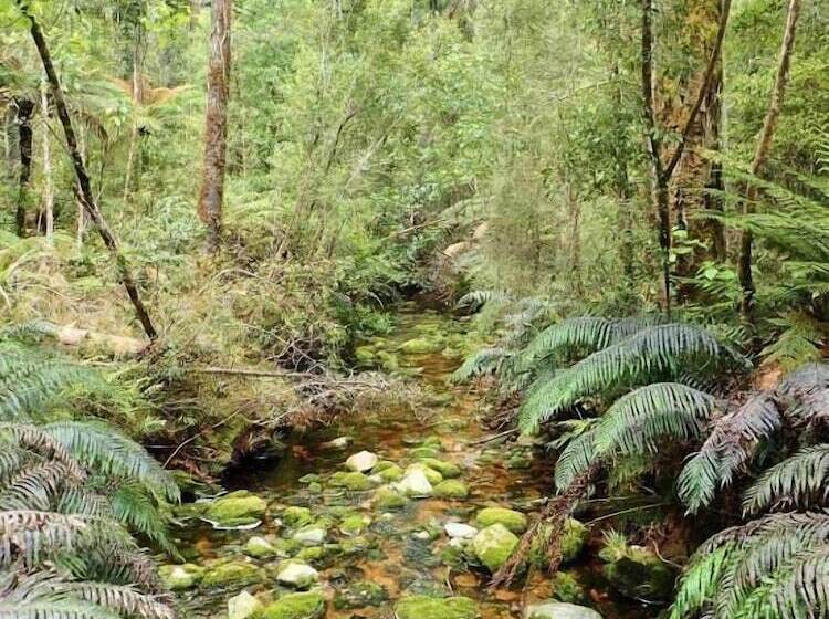 Glenalmond Country Motels