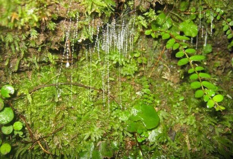 Glenalmond Country Motels