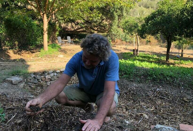 بنسيون A Natural Retreat