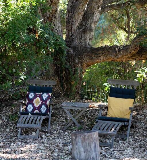 بنسيون A Natural Retreat