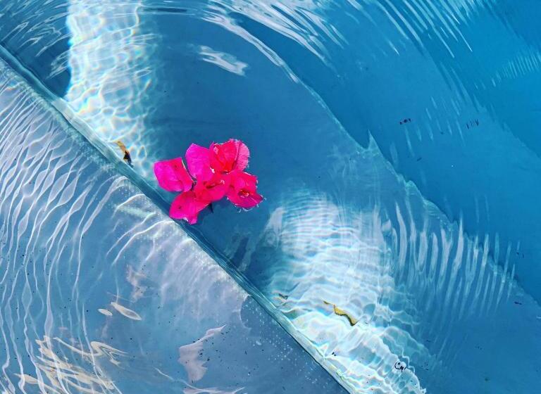 بنسيون A Natural Retreat