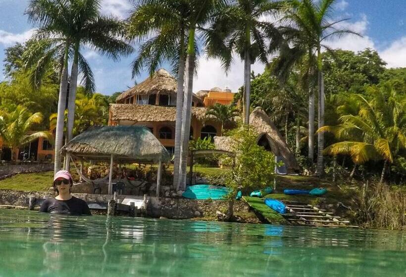 بنسيون Agaveblue