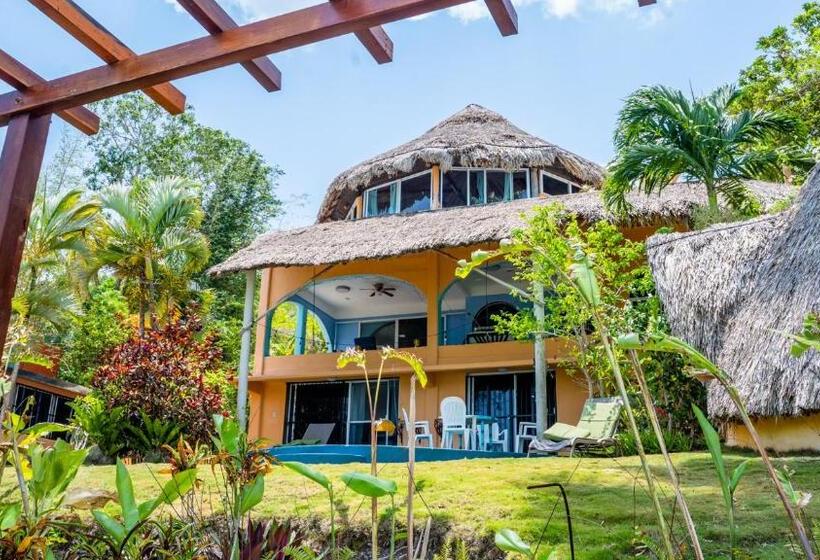 بنسيون Agaveblue