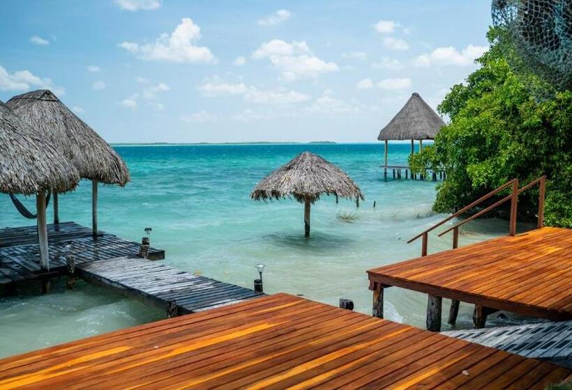 بنسيون Agaveblue