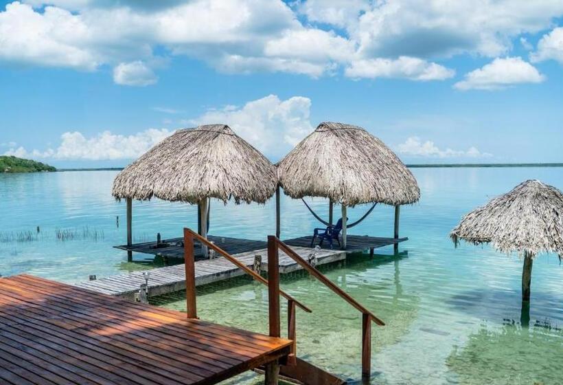 بنسيون Agaveblue