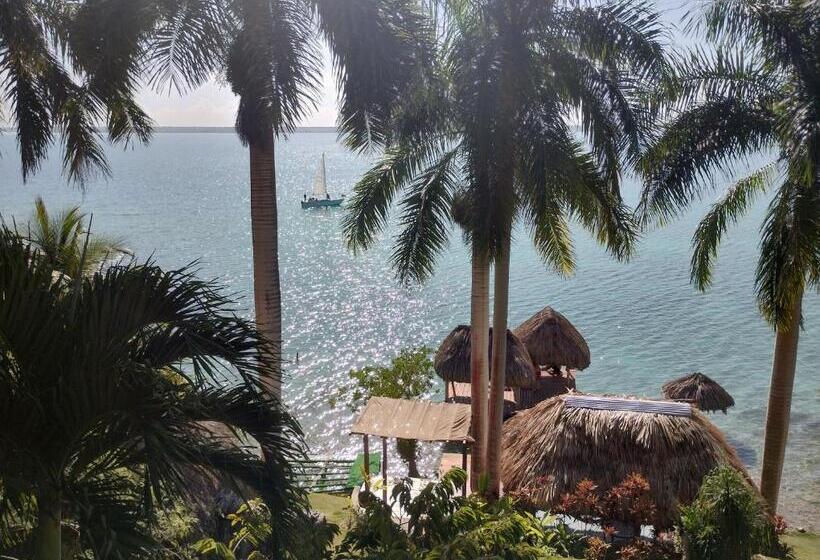 بنسيون Agaveblue