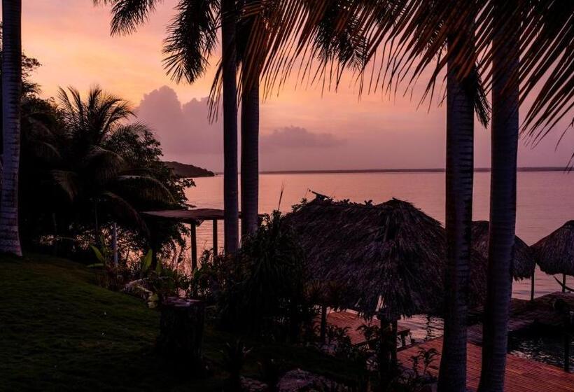 بنسيون Agaveblue