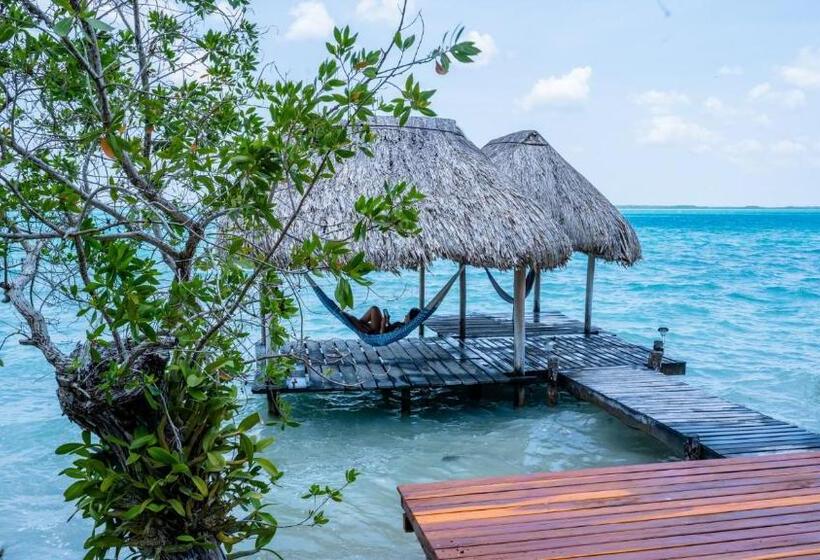 بنسيون Agaveblue