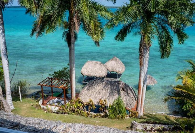 بنسيون Agaveblue