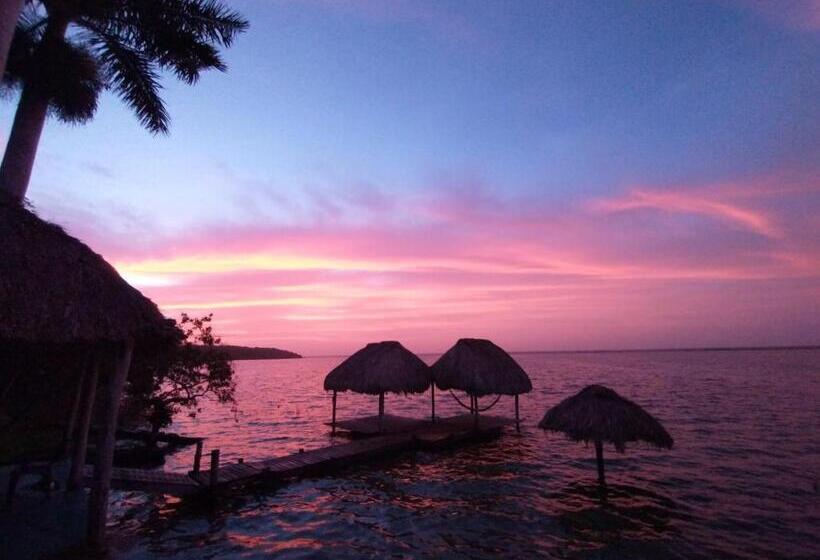 بنسيون Agaveblue