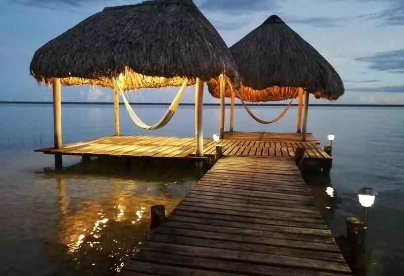 بنسيون Agaveblue