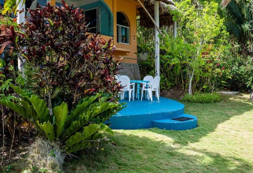 بنسيون Agaveblue