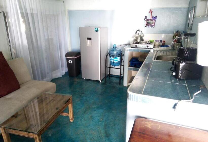 بنسيون Agaveblue